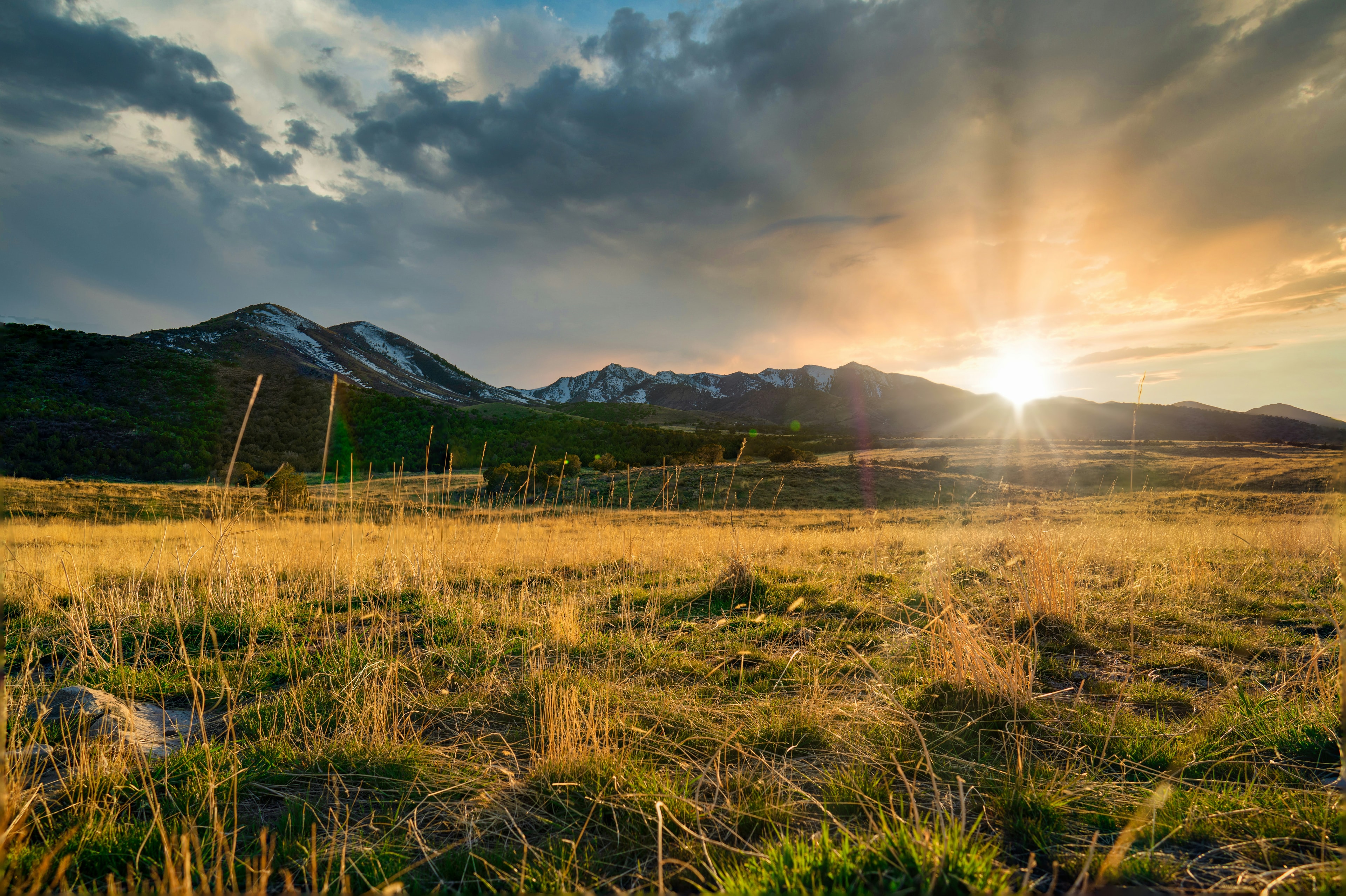 Mountain landscape background